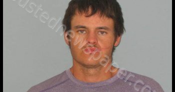 WALL, ANDRES PETERS | 2018-08-29 Andrews County, Texas Booking