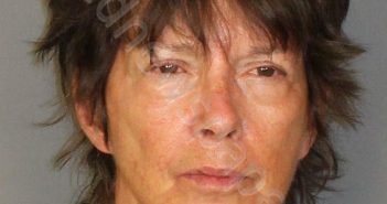 NICHOLSON, DONNA L | 2018-08-29 20:36:00 Jefferson County, Alabama Booking