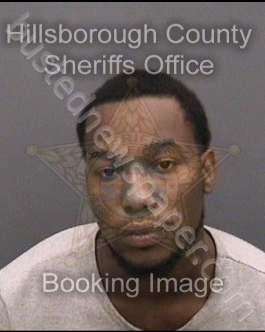 COLEMAN, DARRELL ANTHONY #, Hillsborough County, Florida - 2018-08-30 00:06:00