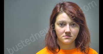 SHANA MARIE NORGAN | 2018-09-04 12:57:00 Isabella County, Michigan Booking