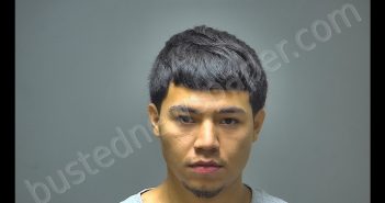 EMMANUEL LEE FOX | 2018-09-05 11:39:00 Isabella County, Michigan Booking