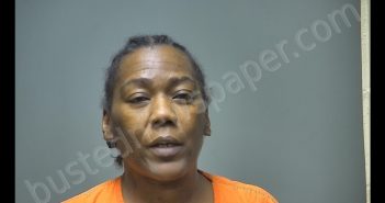 KATHLEEN ARETHA LEE | 2018-09-06 14:46:00 Isabella County, Michigan Booking
