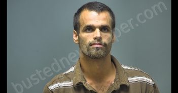 STEVEN TYLOR DOWELL | 2018-09-07 14:00:00 Isabella County, Michigan Booking