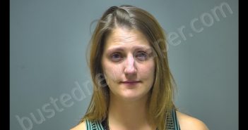 ANGELA LYNNE MARTIN | 2018-09-08 02:50:00 Isabella County, Michigan Booking