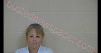 SHAWNTA RENEE WILSON | 2018-09-10 20:52:00 Taylor County, Kentucky Booking