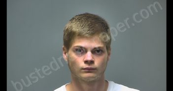 THEODORE JAMES WILLIAMS | 2018-09-10 18:43:00 Isabella County, Michigan Booking