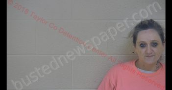 LISA M. BURTON | 2018-09-10 16:53:00 Taylor County, Kentucky Booking