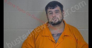 RAMIE DEAN PALMERTON | 2018-09-10 22:28:00 Taylor County, Kentucky Booking