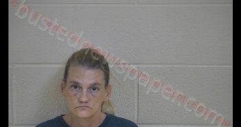 BRANDY STITT | 2018-09-12 12:21:00 Taylor County, Kentucky Booking