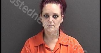 PRESTON, MICHELLE DEE | 2018-09-13 23:40:00 Roanoke County, Virginia Booking