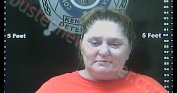 MELISSA SUE TOWNSEND | 2018-09-17 11:47:00 Clark County, Kentucky Booking