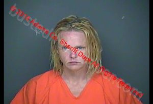 ANGELA L SUBBLETT | 2018-09-18 13:03:00 Adams County, Ohio Booking