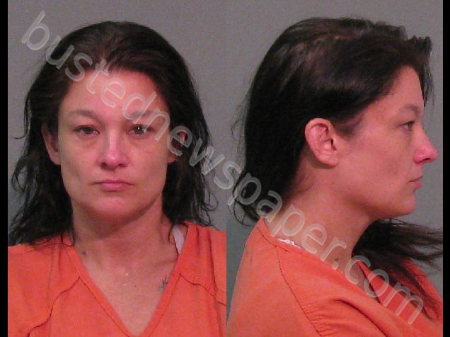IVEY, JENNIFER RENEE #, York County, South Carolina - 2018-09-19 02:29:53