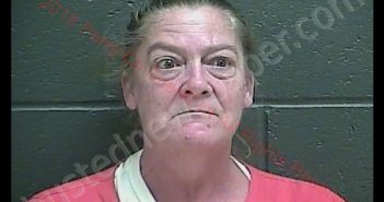 DEBRA BEDGOOD WILSON | 2018-09-20 11:28:00 Perry County, Indiana Booking