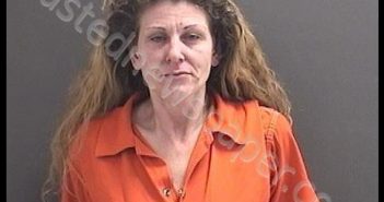 JOHNSON, ALISHA FERTITTA | 2018-09-20 11:13:00 Roanoke County, Virginia Booking