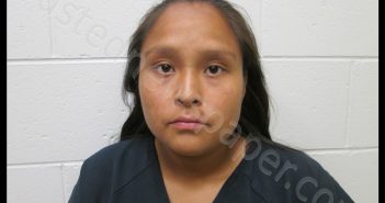 FRANCINE GANADONEGRO | 2018-09-24 16:18:00 Socorro County, New Mexico Booking