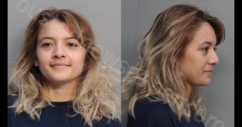 LAGUNA, ELISSE I | 2018-10-01 06:58:00 Miami-Dade County, Florida Booking