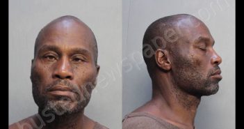 BROWN, JUNE | 2018-10-01 11:04:00 Miami-Dade County, Florida Booking