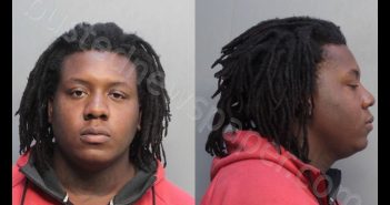 BROWN, VINCENT RAYNARD | 2018-10-02 13:15:00 Miami-Dade County, Florida Booking