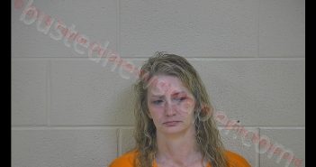 CANDY M CLARK | 2018-10-04 02:25:00 Taylor County, Kentucky Booking