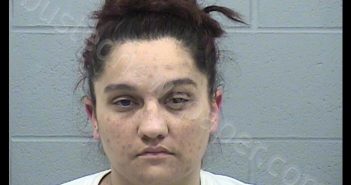 VILLALVA, AMY LYNN | 2018-10-04 13:23:00 Harvey County, Kansas Booking