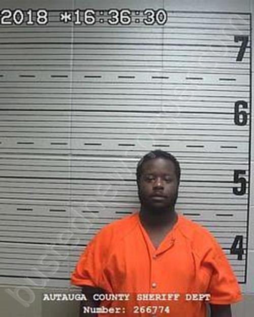 JONATHAN LEONARD WILLIS #, Autauga County, Alabama - 2018-10-09 16:05:00