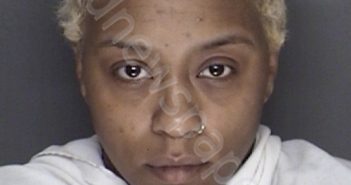 BROWN, ANDREA DENISE | 2018-10-09 01:52:00 Ellis County, Texas Booking