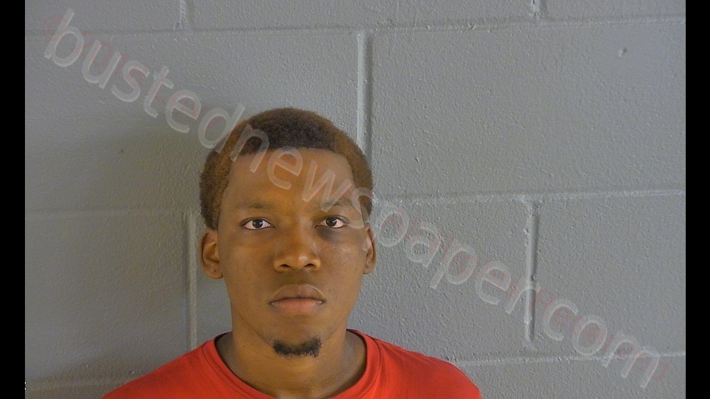 BREON MARICE MANSFIELD #, Levy County, Florida - 2018-10-09 18:19:00