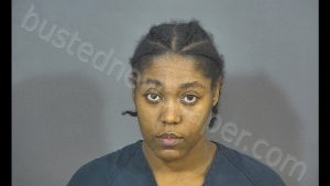 KARISSA JANAE MARTIN | 2018-10-10 14:55:00 St. Joseph County, Indiana Booking