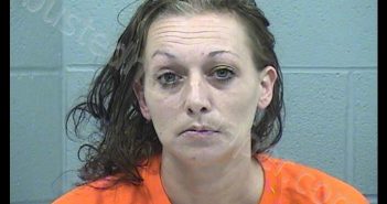 WEEKS, WENDY JO | 2018-10-10 23:30:00 Harvey County, Kansas Booking