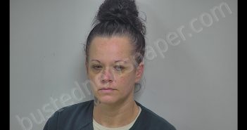 MITZIE LEE HARPER | 2018-10-11 09:45:00 Rockbridge Regional Jail, Virginia Booking