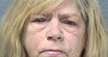 GOLDENBERG, LISA M | 2018-10-11 09:34:00 Will County, Illinois Booking