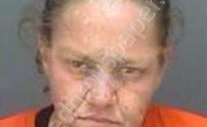 EVERSOLE, CATHERINE NICOLE | 2018-10-12 15:50:00 Pinellas County, Florida Booking