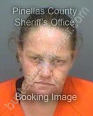EVERSOLE, CATHERINE NICOLE #, Pinellas County, Florida - 2018-10-12 15:50:00