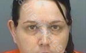 LYNES, CATHERINE ELIZABETH | 2018-10-12 12:28:16 Pinellas County, Florida Booking