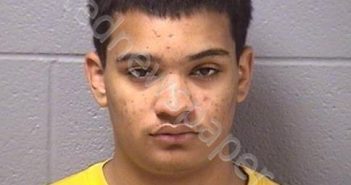 EPTING, JAMES R | 2018-10-16 01:02:00 Will County, Illinois Booking