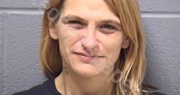 CECI, BRANDI M | 2018-10-17 14:17:00 Will County, Illinois Booking