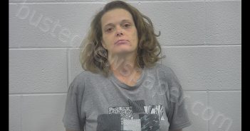 NICOLE MICHELLE SKEAN | 2018-10-18 14:15:00 Kenton County, Kentucky Booking