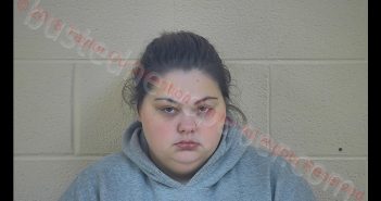 LOREN BLEVINS-LAWSON | 2018-10-23 13:15:00 Taylor County, Kentucky Booking