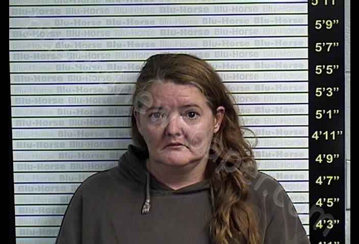 HAMPTON, HEATHER #, Graves County, Kentucky - 2018-10-23 12:24:00