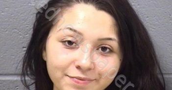 SALAZAR, ALYSSA N | 2018-10-23 01:13:00 Will County, Illinois Booking