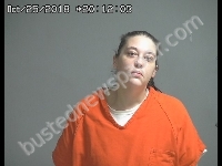 CZAJA COTY A | 2018-10-25 Sandusky County, Ohio Booking