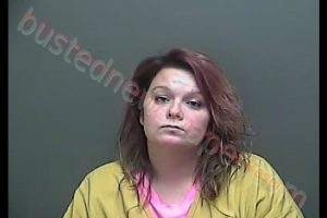 ARIANNE NIKOLE DURBIN | 2018-10-26 16:37:00 Howard County, Indiana Booking