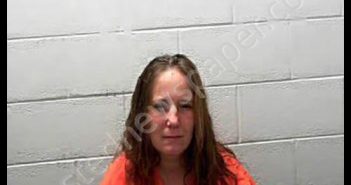 MCDANIELS, CATHERINE LORRAINE | 2018-10-30 12:35:00 Pocahontas County, West Virginia Booking