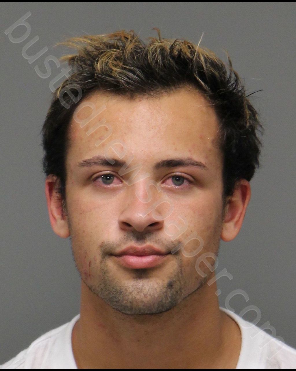 BROWN,TYLER MATTHEW #, Wake County, North Carolina - 2018-11-01 00:55:00