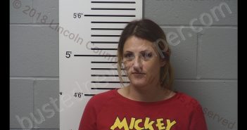 HOLLY JEAN NEWMAN | 2018-11-02 23:13:00 Lincoln County, Missouri Booking