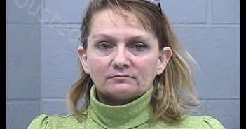 MARTIN, DENIECE DANYEL | 2018-11-03 00:10:00 Harvey County, Kansas Booking