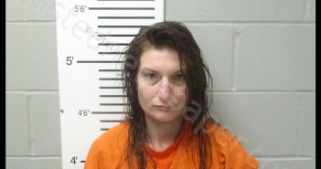 MELINDA KAY DROWNS | 2018-11-03 05:17:00 Lincoln County, Missouri Booking