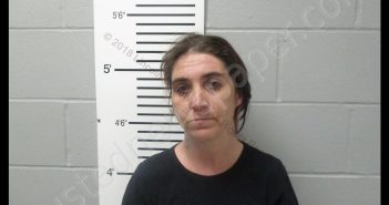 SHANNON COLLEEN WOODSON | 2018-11-04 05:27:00 Lincoln County, Missouri Booking