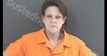 TURNER, TRINA DENISE | 2018-11-04 14:38:00 Roanoke County, Virginia Booking
